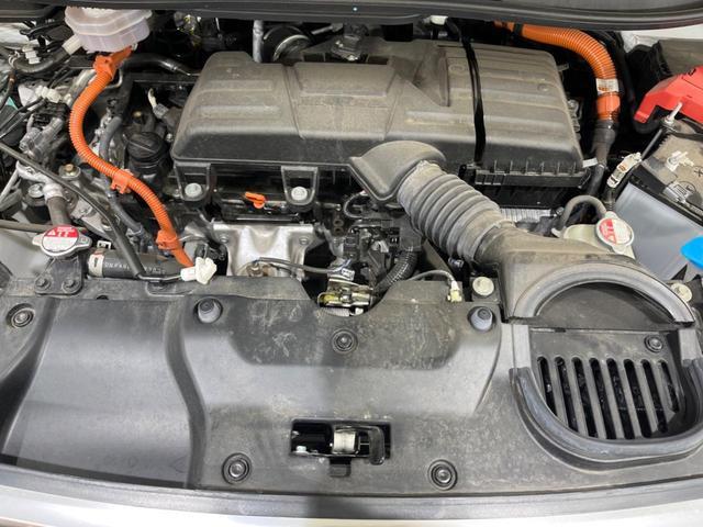 19723652_carP_l_16.jpg