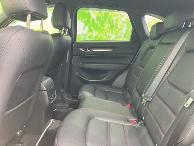 21045238_carP_l_14.jpg