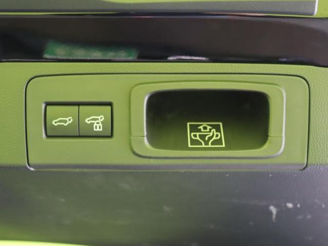 22255844_carP_l_9.jpg