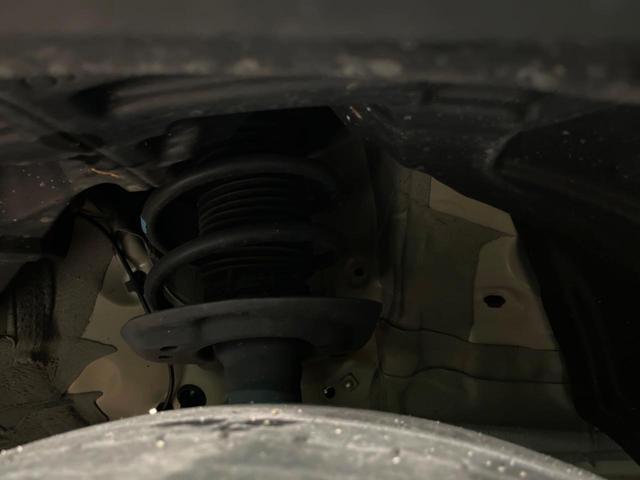 21746879_carP_l_20.jpg