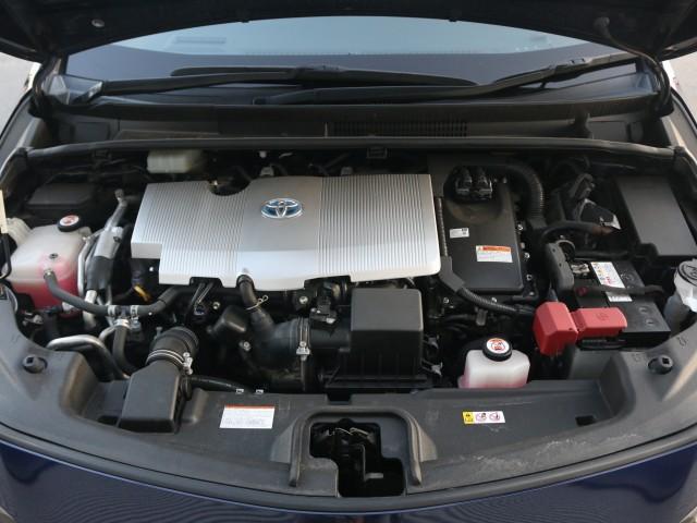 22605424_carP_l_17.jpg