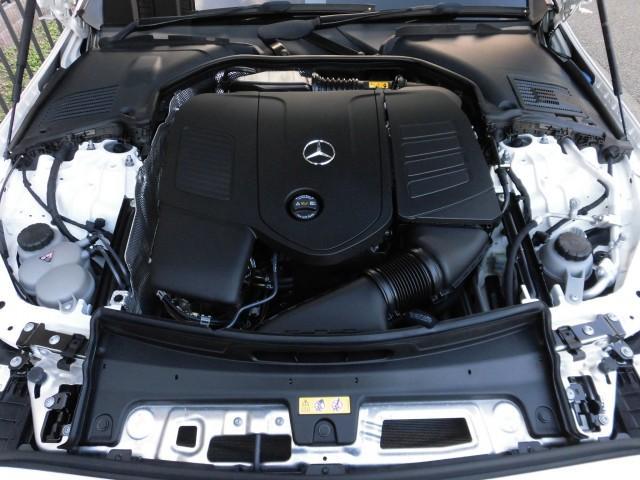 21205951_carP_l_17.jpg