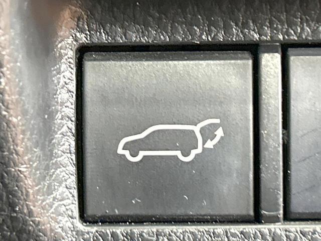 22449255_carP_l_10.jpg