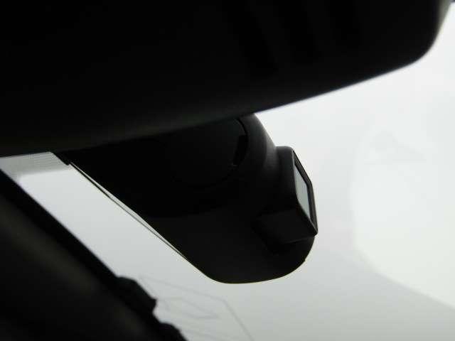 21321304_carP_l_11.jpg