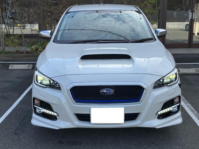 1001655A30251219W00201.jpg