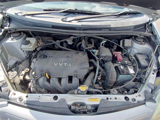 08.jpg