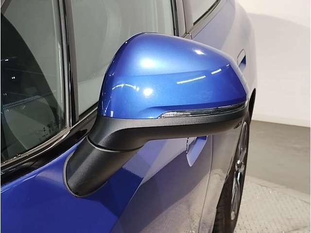 19911911_carP_l_17.jpg