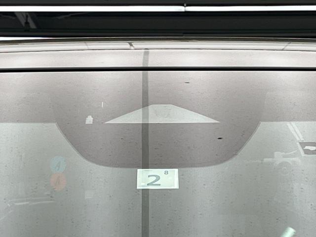 21764891_carP_l_15.jpg