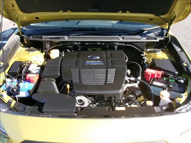 21464745_carP_l_18.jpg