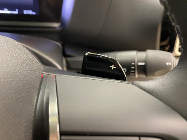 19040047_carP_l_7.jpg