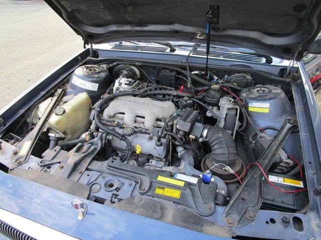 0903968A30250609W00910.jpg