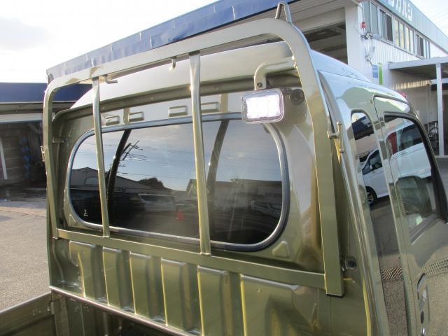 21967090_carP_l_7.jpg
