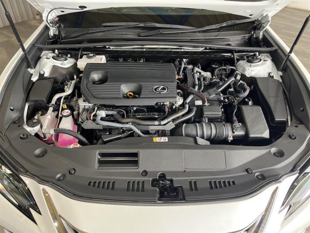 8e397f8ec2b7d0223eb3995f5efeff61.jpg