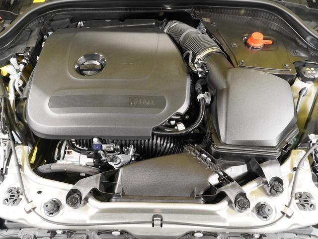 22562010_carP_l_17.jpg