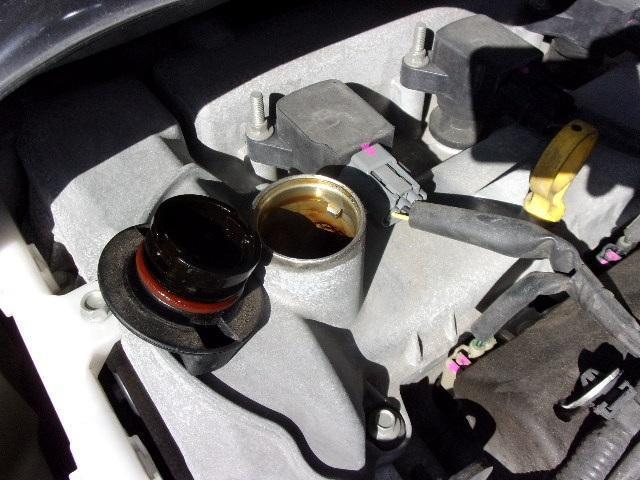 0540157A30260307W00109.jpg