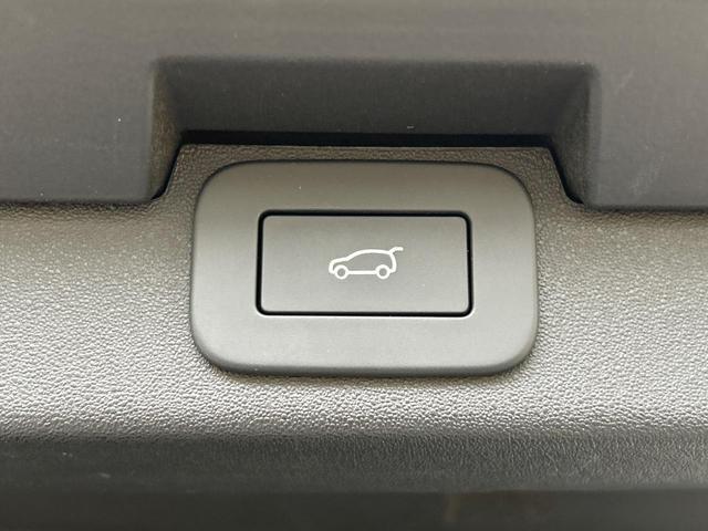 23169834_carP_l_20.jpg
