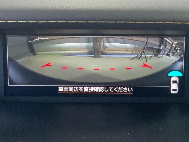 20938998_carP_l_9.jpg
