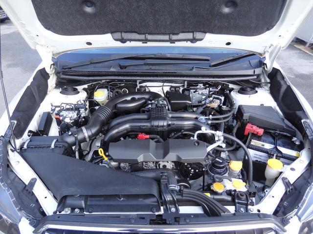 21126368_carP_l_18.jpg