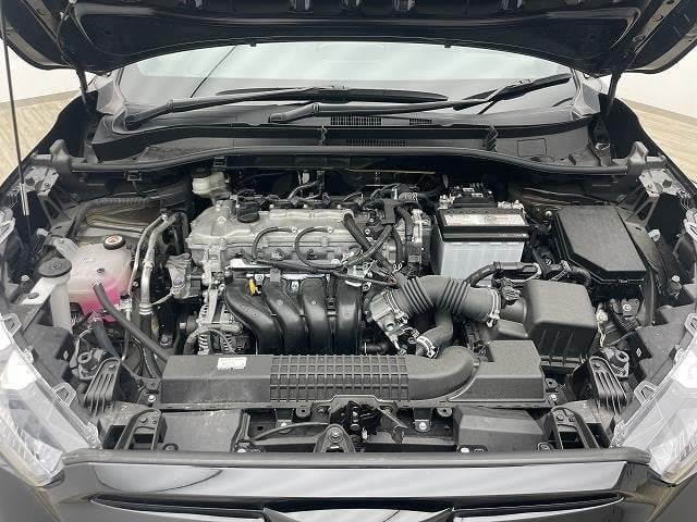 17208699_carP_l_11.jpg