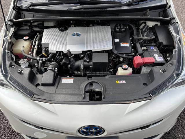0208805A30250617W00115.jpg