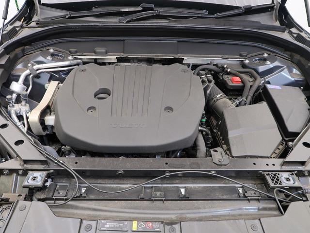 22875945_carP_l_12.jpg