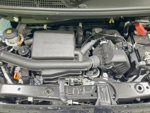 22975666_carP_l_16.jpg