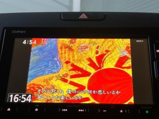 21178503_carP_l_6.jpg