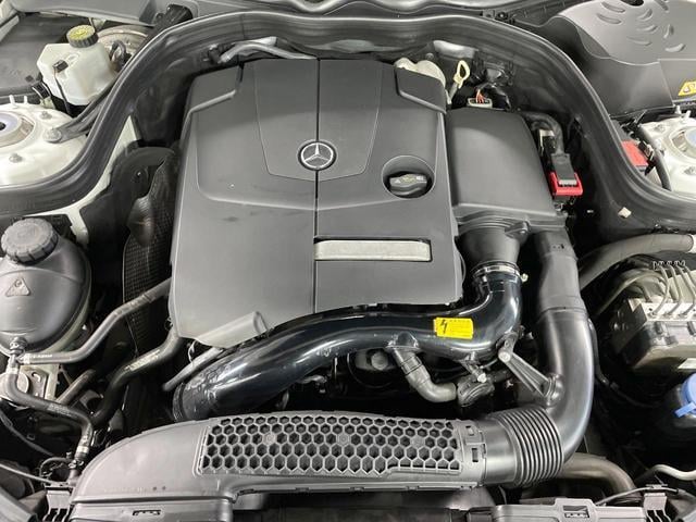 19055564_carP_l_20.jpg