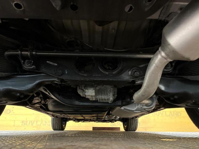 22410905_carP_l_18.jpg