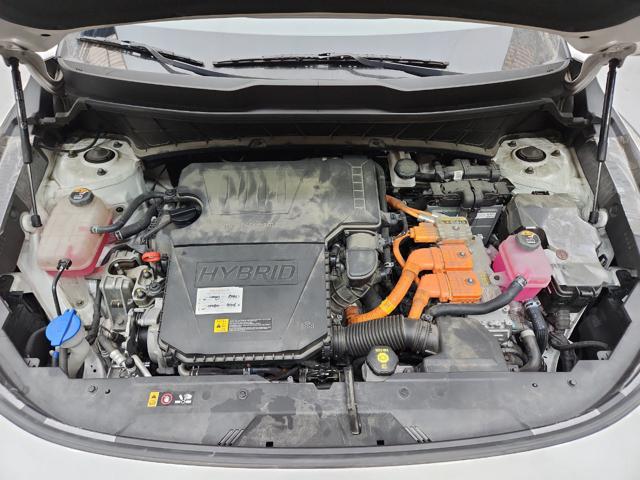 lotterental_204538929_QBunh_6.jpg