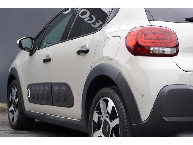 15178001_carP_l_7.jpg