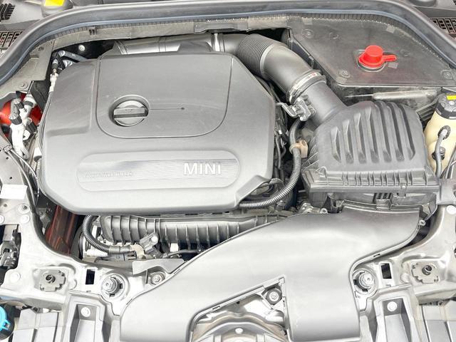 22975247_carP_l_18.jpg