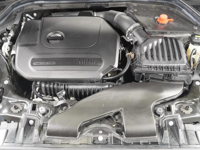 22333823_carP_l_14.jpg