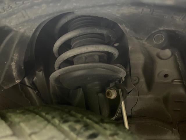18300796_carP_l_20.jpg