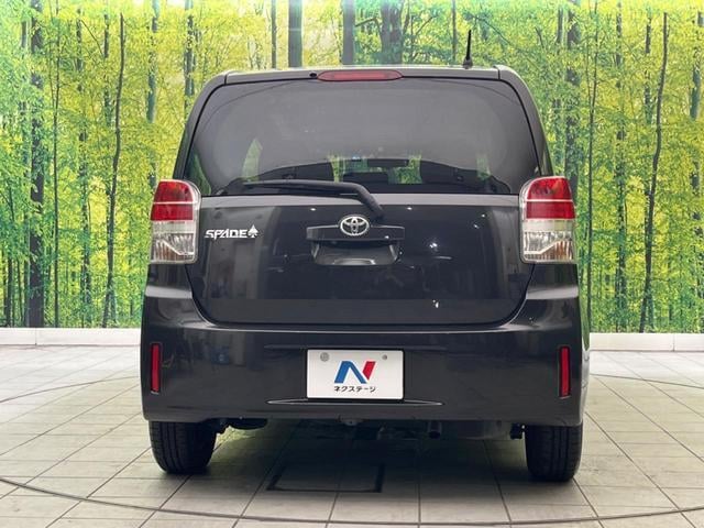 18300796_carP_l_9.jpg