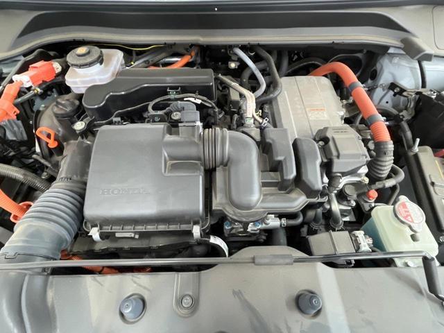 22429465_carP_l_16.jpg