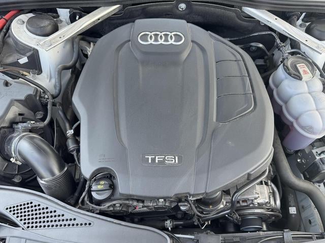 19349192_carP_l_12.jpg