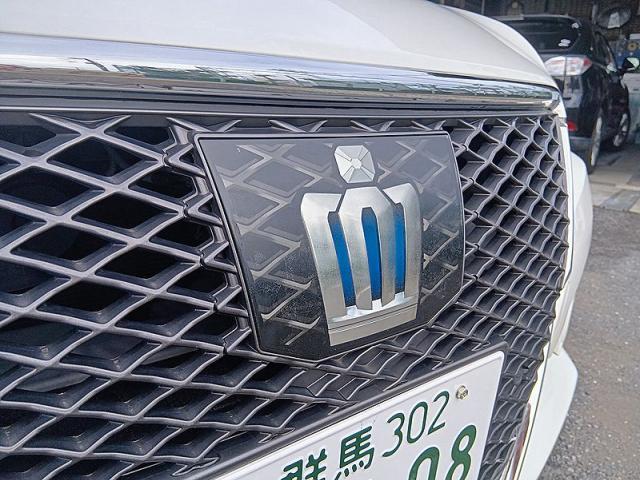 19724458_carP_l_11.jpg