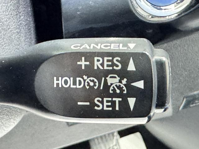 0209356A30260403W00116.jpg