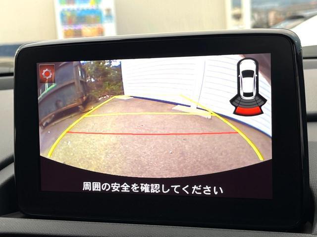 20590495_carP_l_4.jpg
