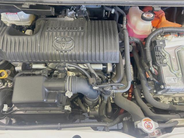 22205820_carP_l_16.jpg