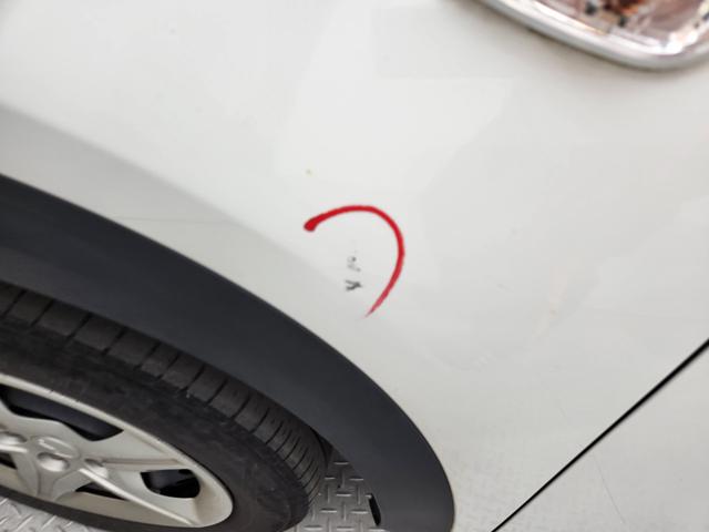 lotterental_170402814_XGCVs_5.jpg