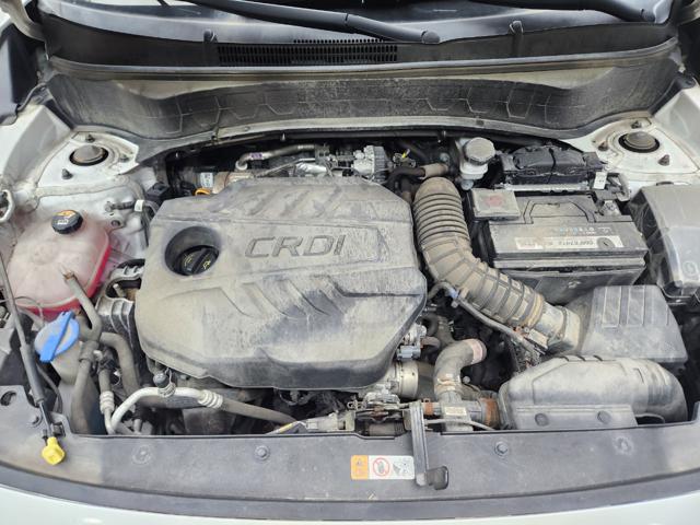 lotterental_170424762_n5Vnf_8.jpg