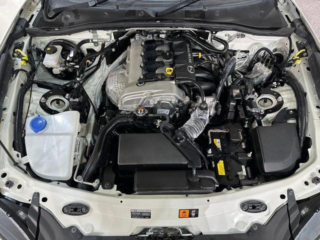 23125847_carP_l_18.jpg