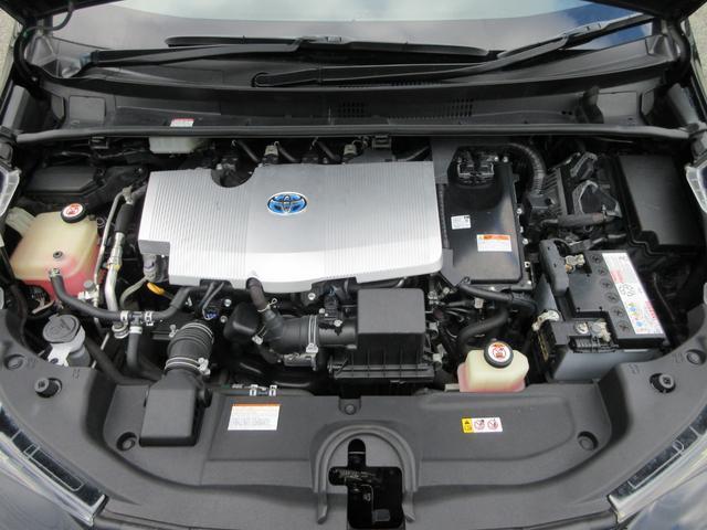 21272342_carP_l_12.jpg