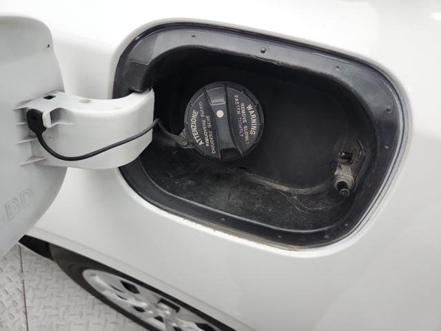 lotterental_153416189_gTZOx_7.jpg