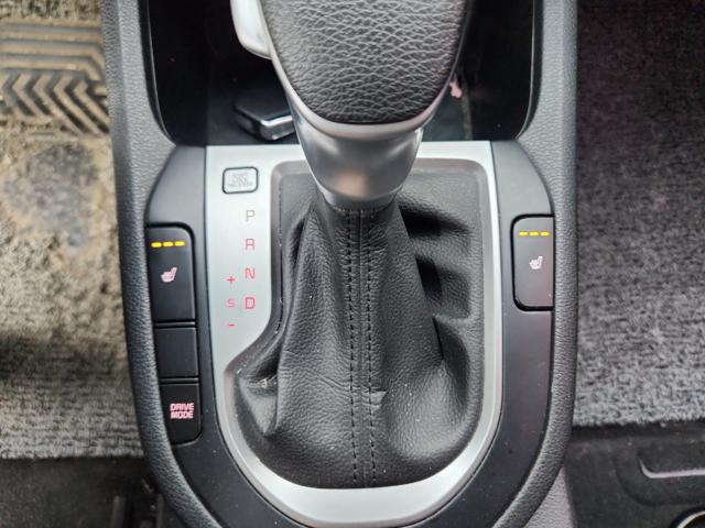lotterental_153523382_NQzsL_7.jpg