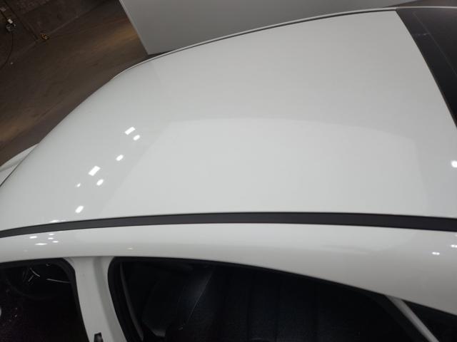 lotterental_15352382_iquCv_1.jpg