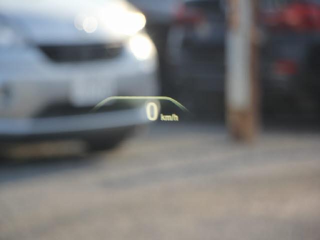 22044268_carP_l_4.jpg