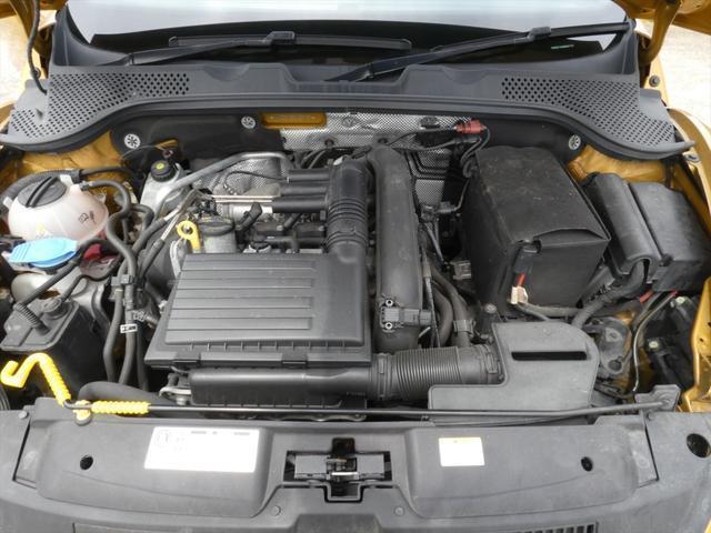 11179974_carP_l_18.jpg
